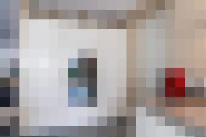 Boomvalk 28 Venray thumbnail 20