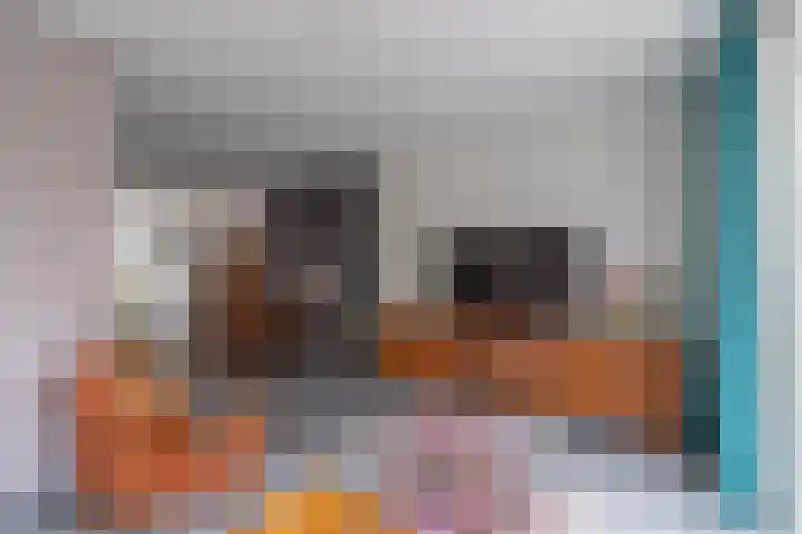 Boomvalk 28 Venray thumbnail 26