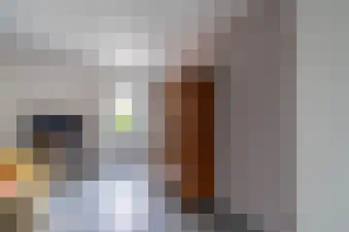 Boomvalk 28 Venray thumbnail 28