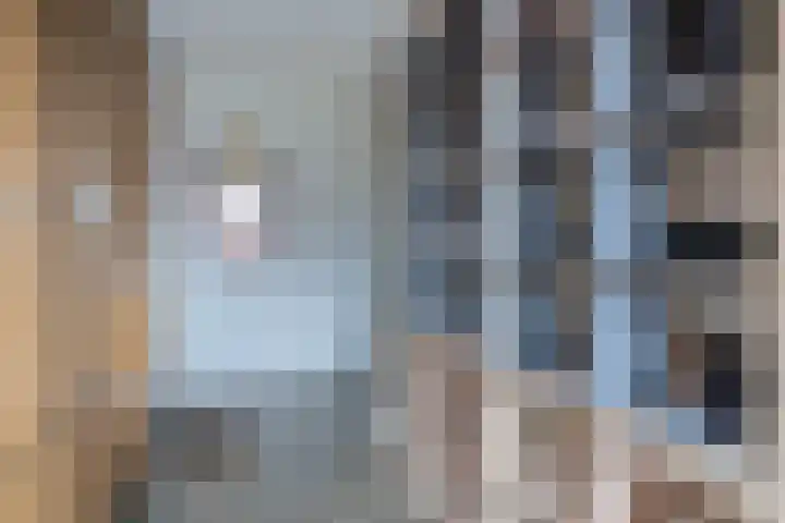 Boomvalk 28 Venray thumbnail 34