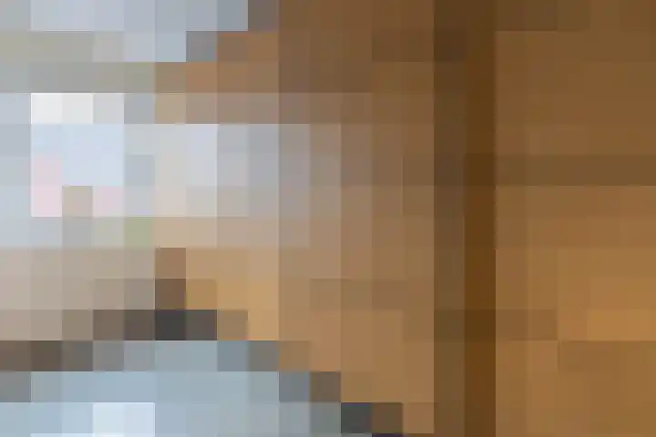 Boomvalk 28 Venray thumbnail 35