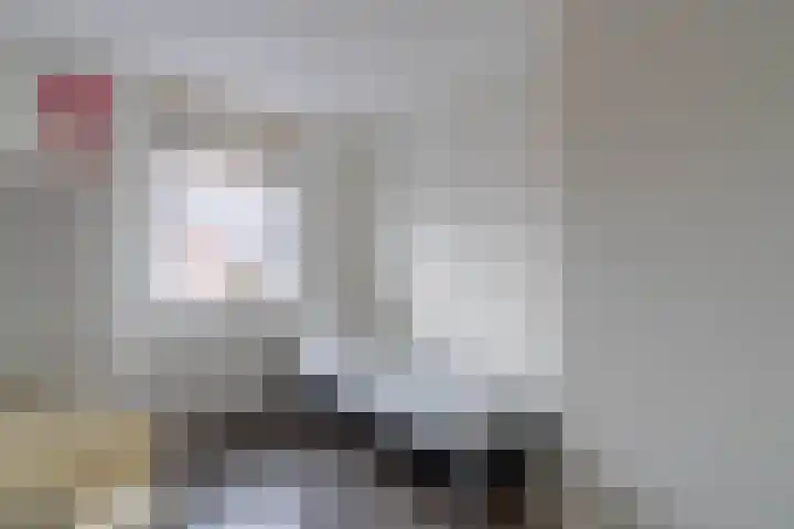 Boomvalk 28 Venray thumbnail 36