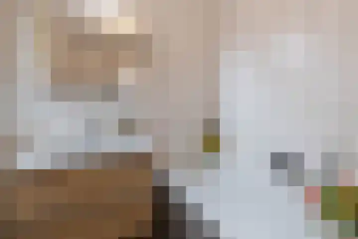 Boomvalk 28 Venray thumbnail 41