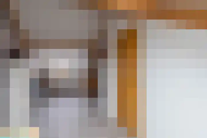 Boomvalk 28 Venray thumbnail 46