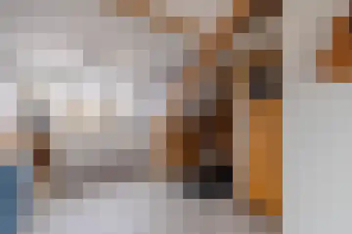 Boomvalk 28 Venray thumbnail 47