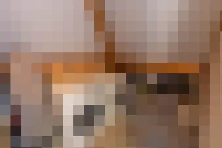 Boomvalk 28 Venray thumbnail 48