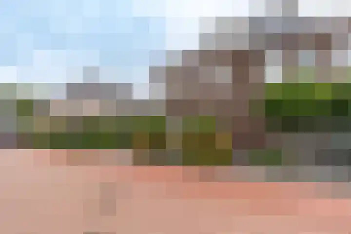 Boomvalk 28 Venray thumbnail 6