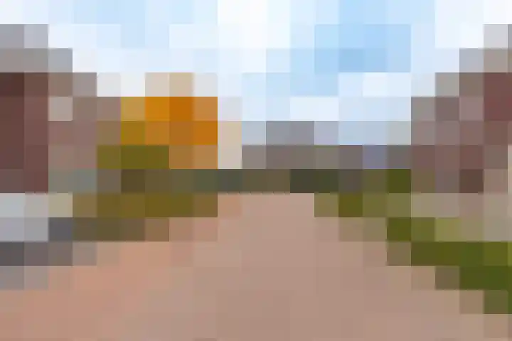 Boomvalk 28 Venray thumbnail 7