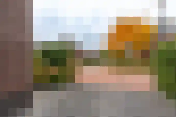 Boomvalk 28 Venray thumbnail 9