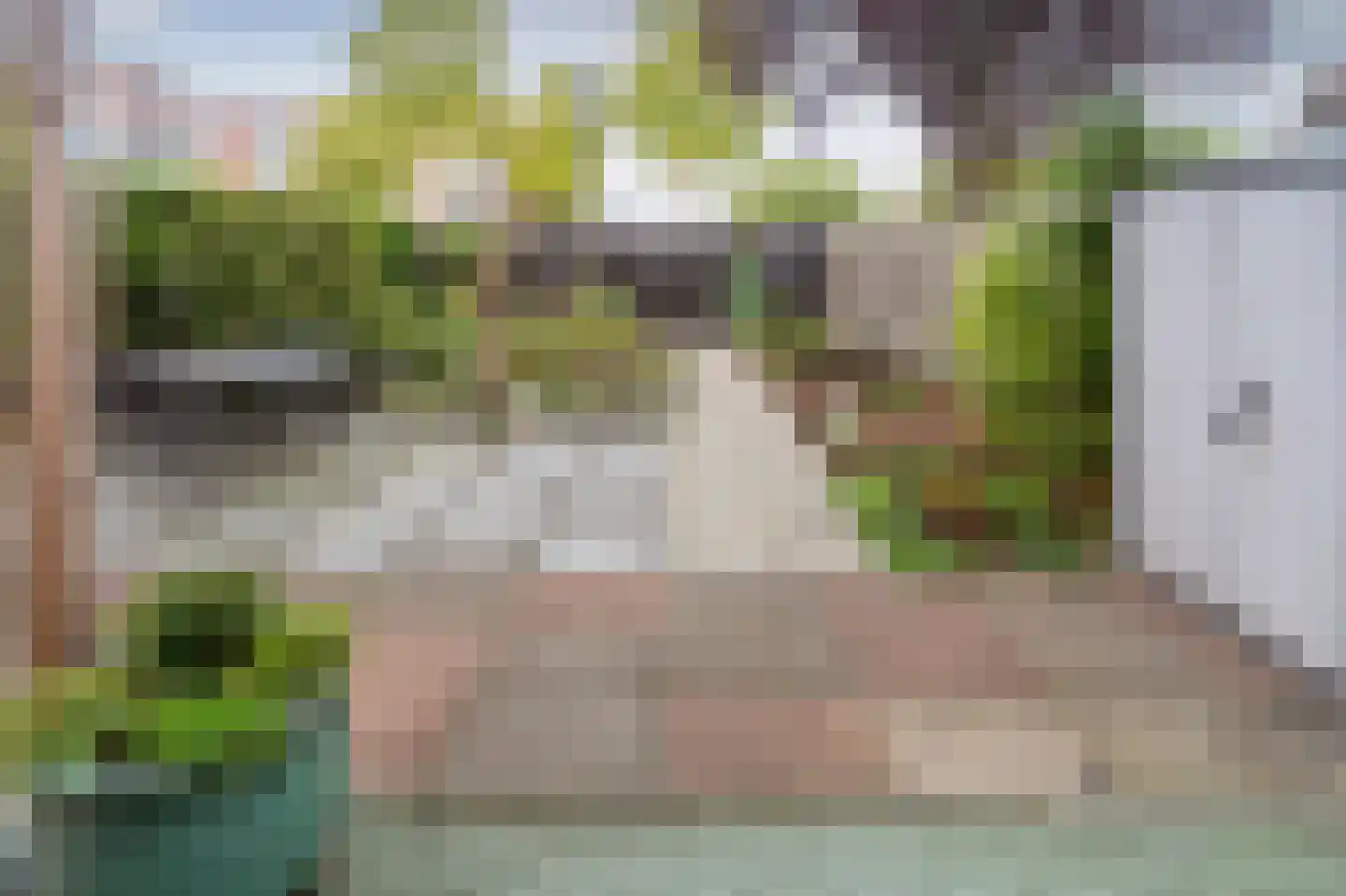 Boomvalk 33 Emmen thumbnail 17