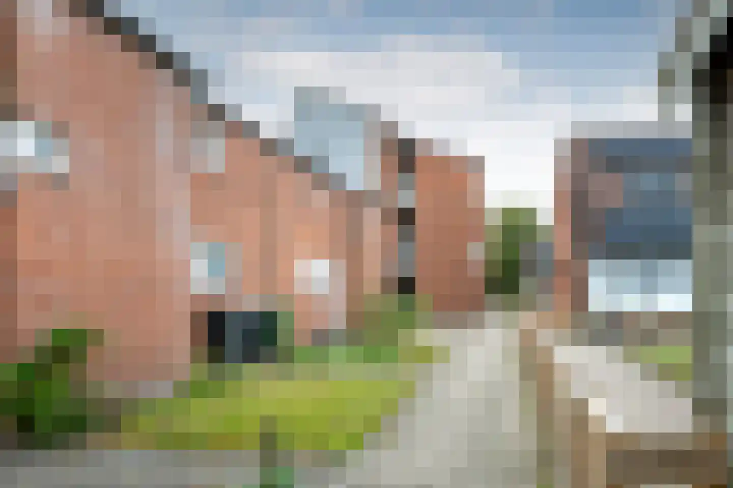 Boomvalk 33 Emmen thumbnail 24