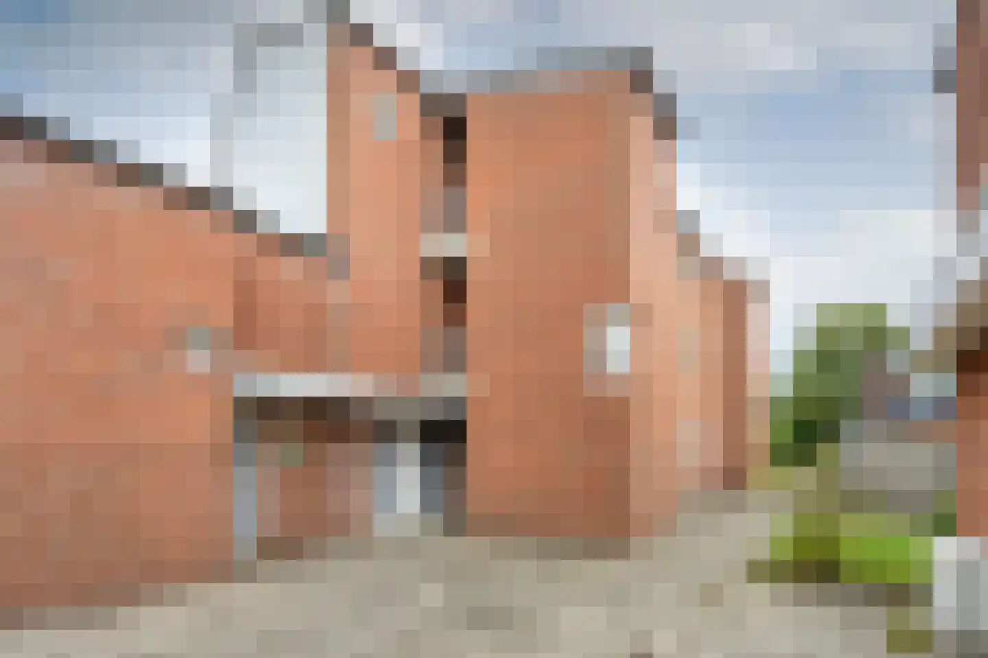 Boomvalk 33 Emmen thumbnail 25