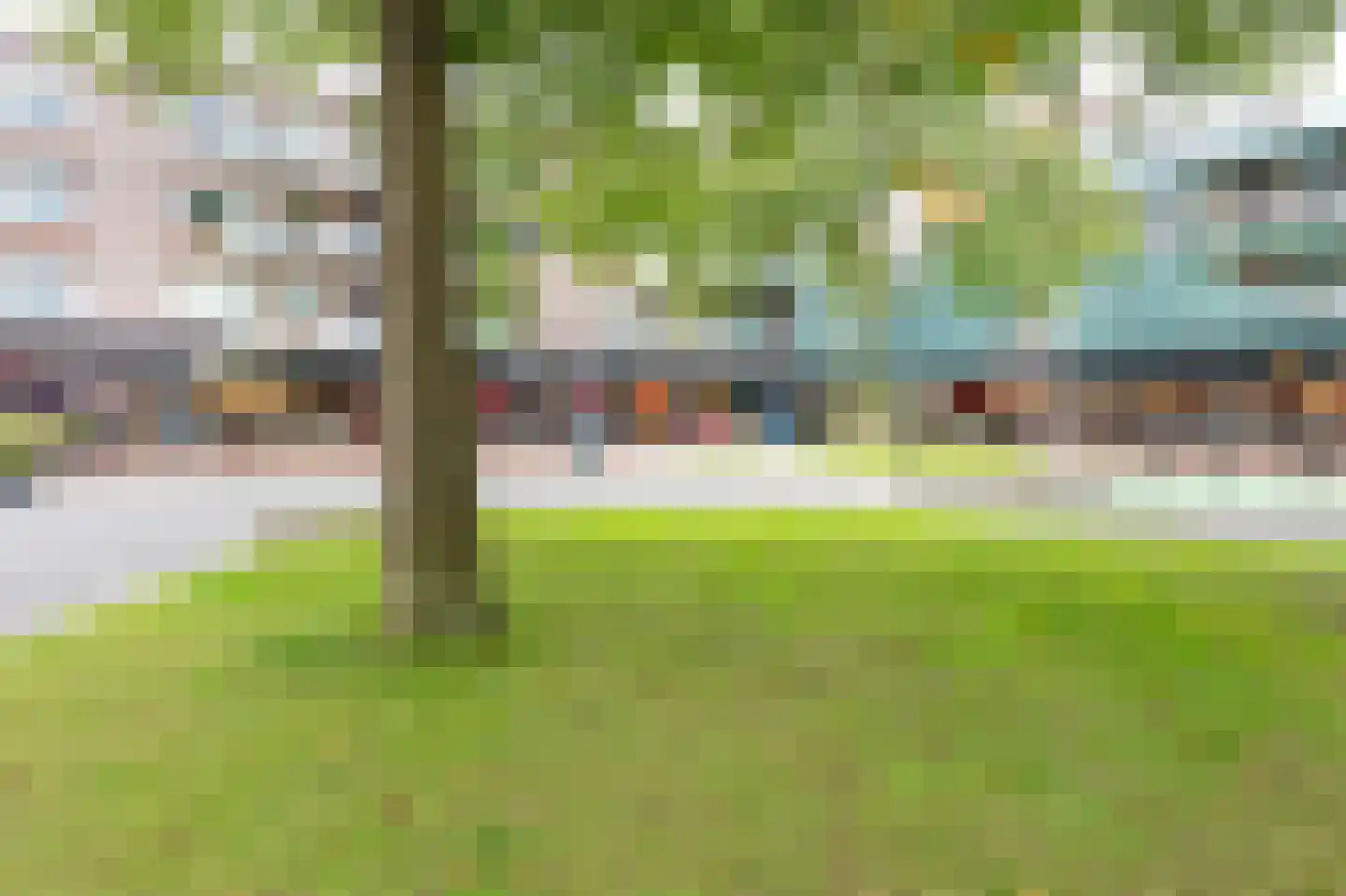 Boomvalk 33 Emmen thumbnail 28