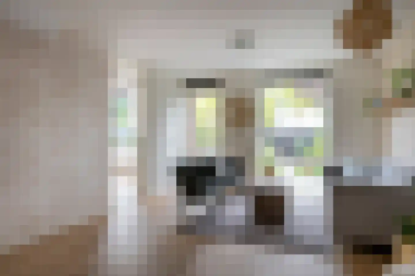 Boomvalk 33 Emmen thumbnail 5