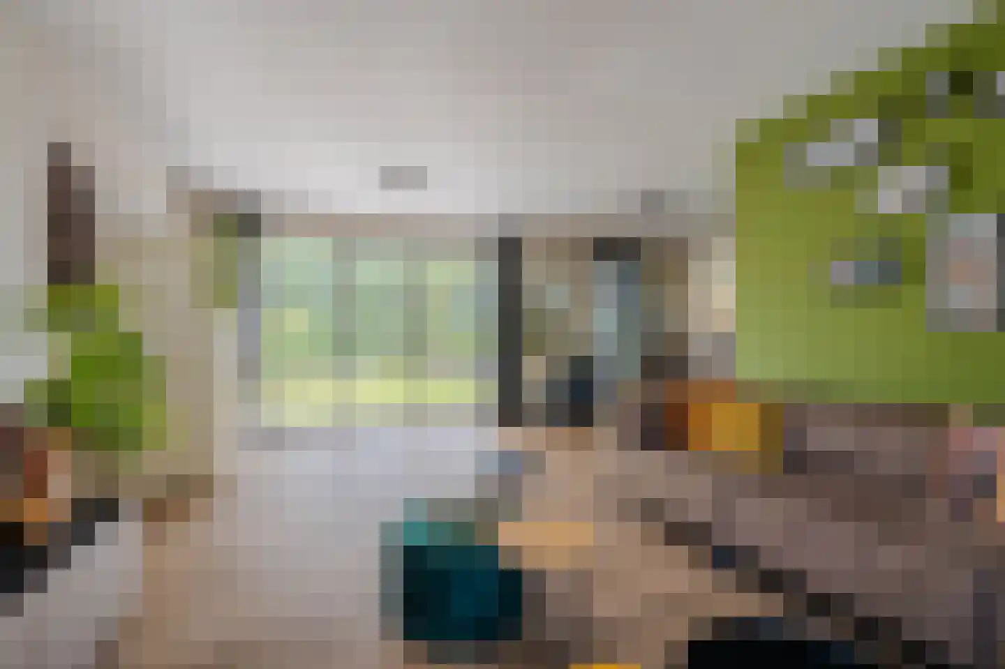 Boomvalk 49 Venray thumbnail 14