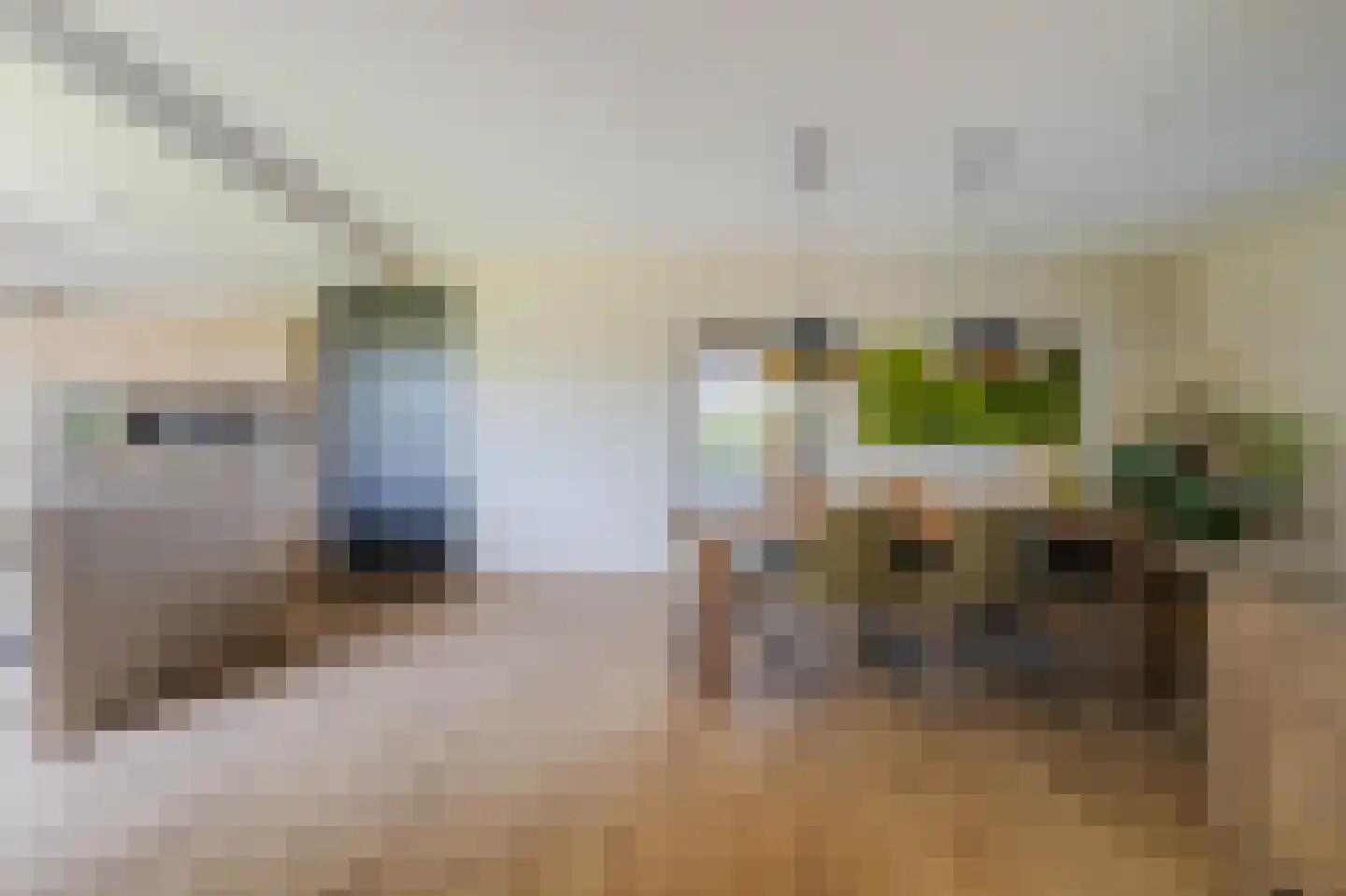 Boomvalk 49 Venray thumbnail 16