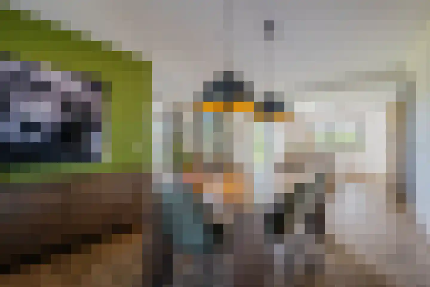 Boomvalk 49 Venray thumbnail 18