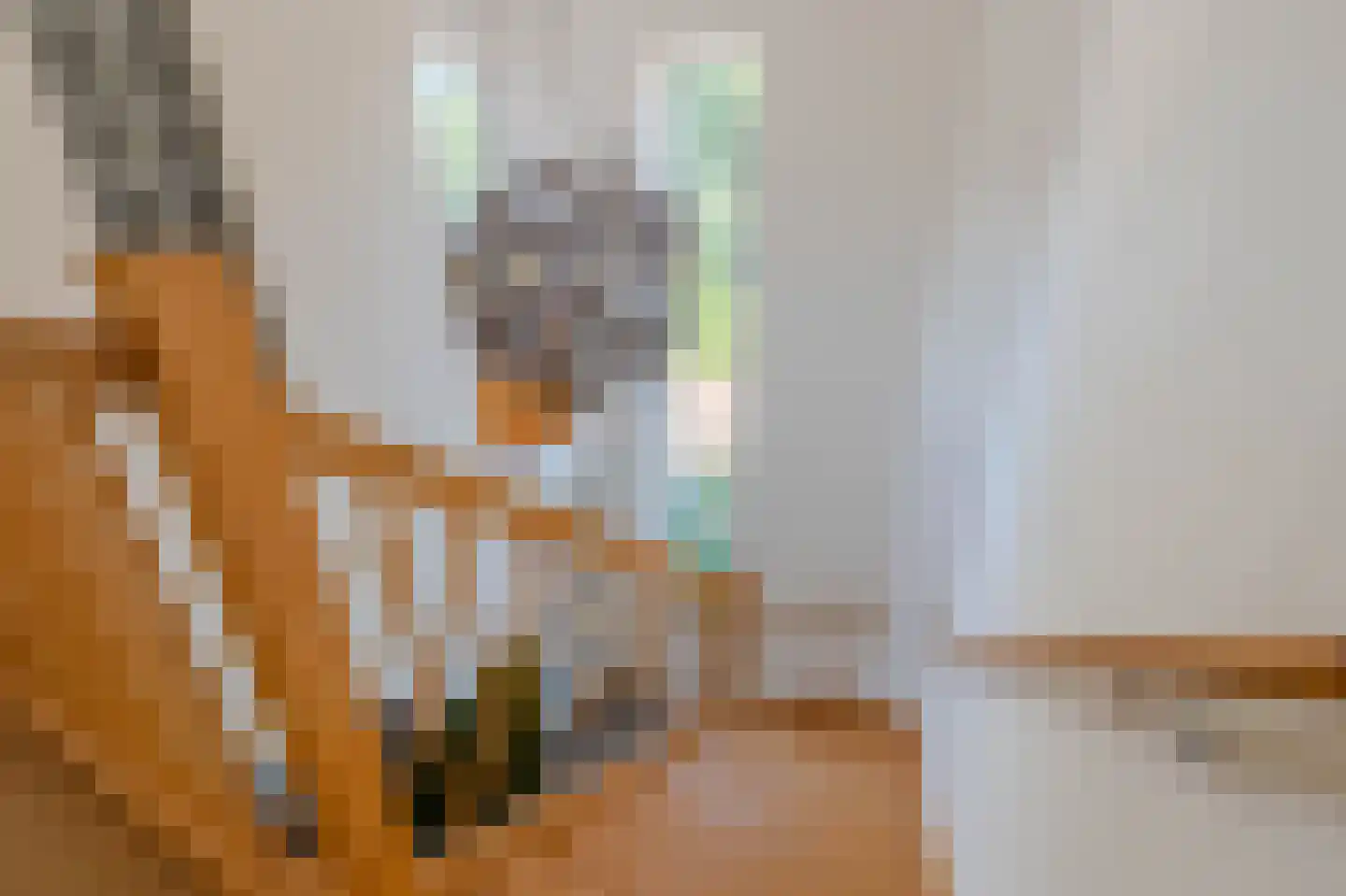 Boomvalk 49 Venray thumbnail 32