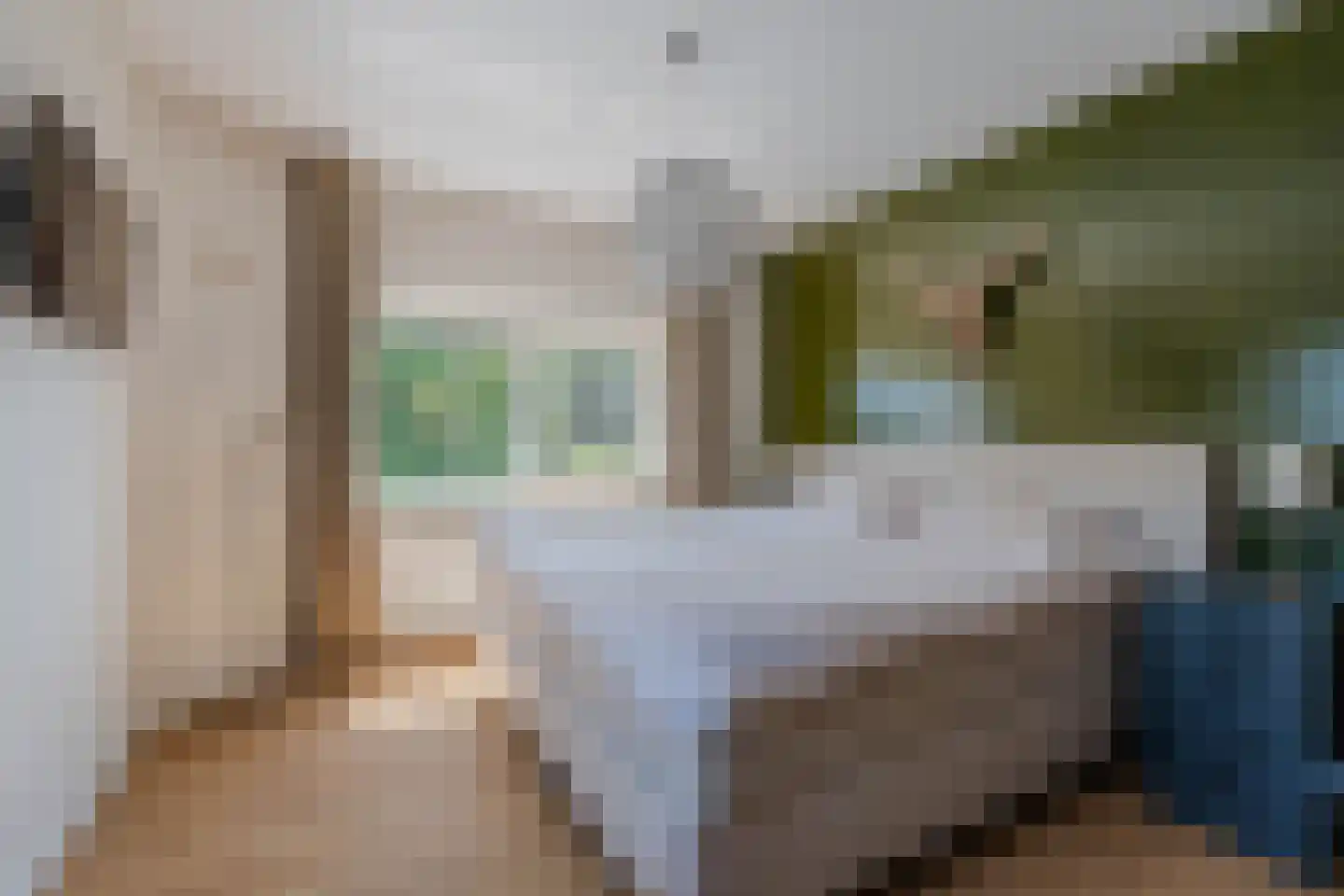 Boomvalk 49 Venray thumbnail 34