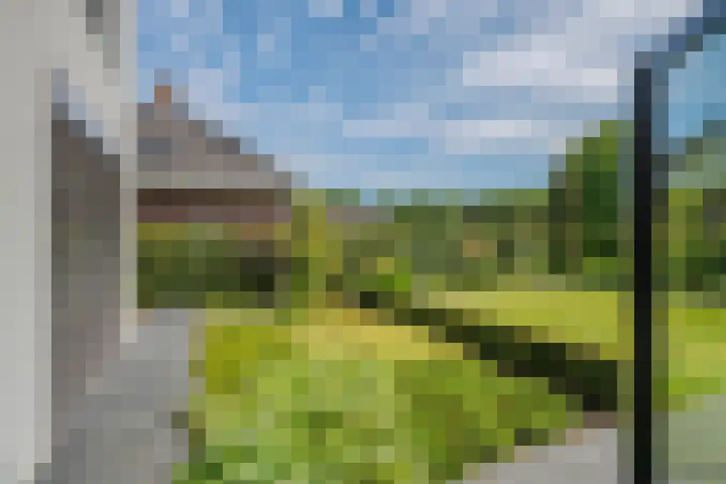 Boomvalk 49 Venray thumbnail 49