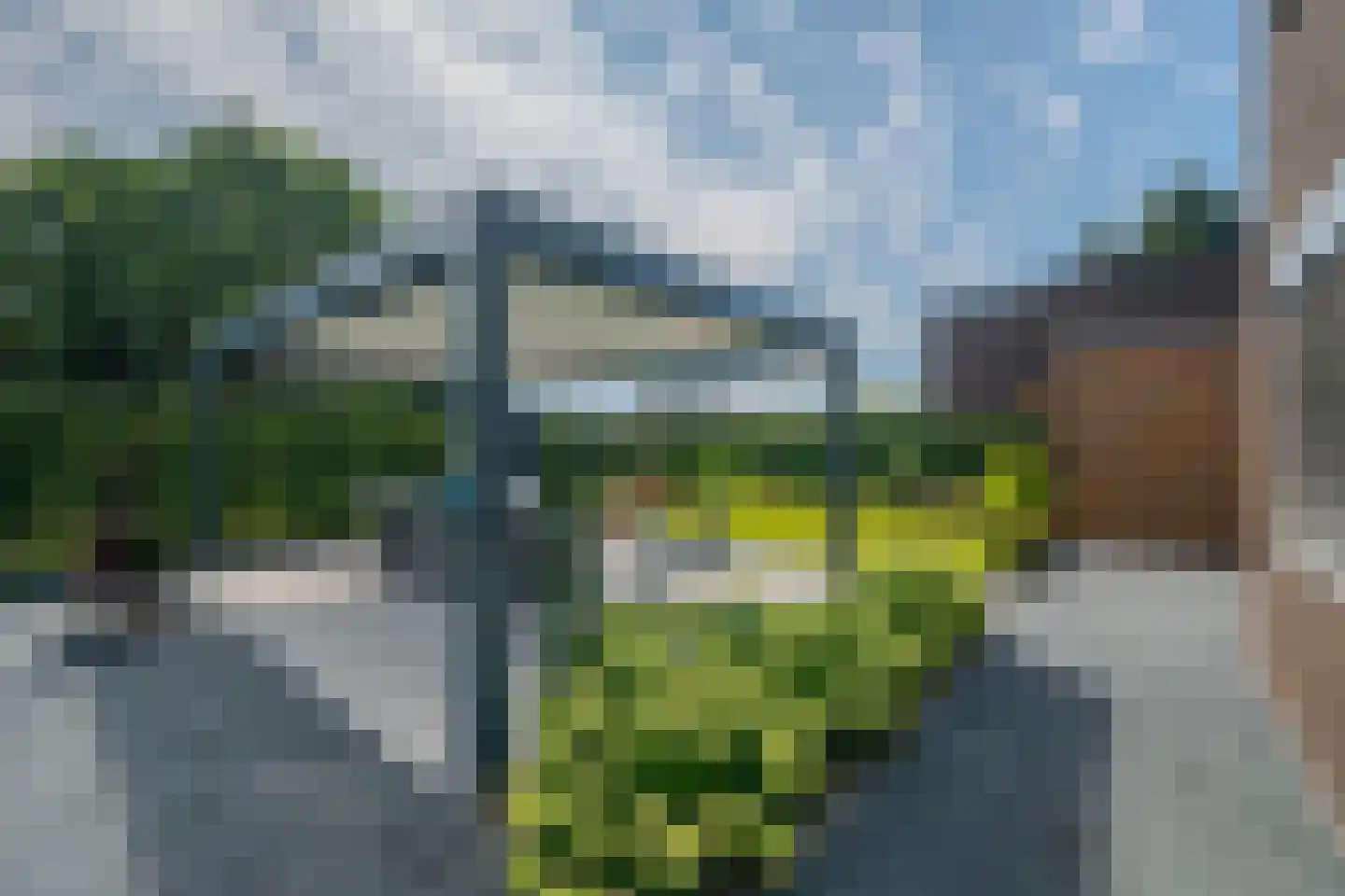 Boomvalk 49 Venray thumbnail 50