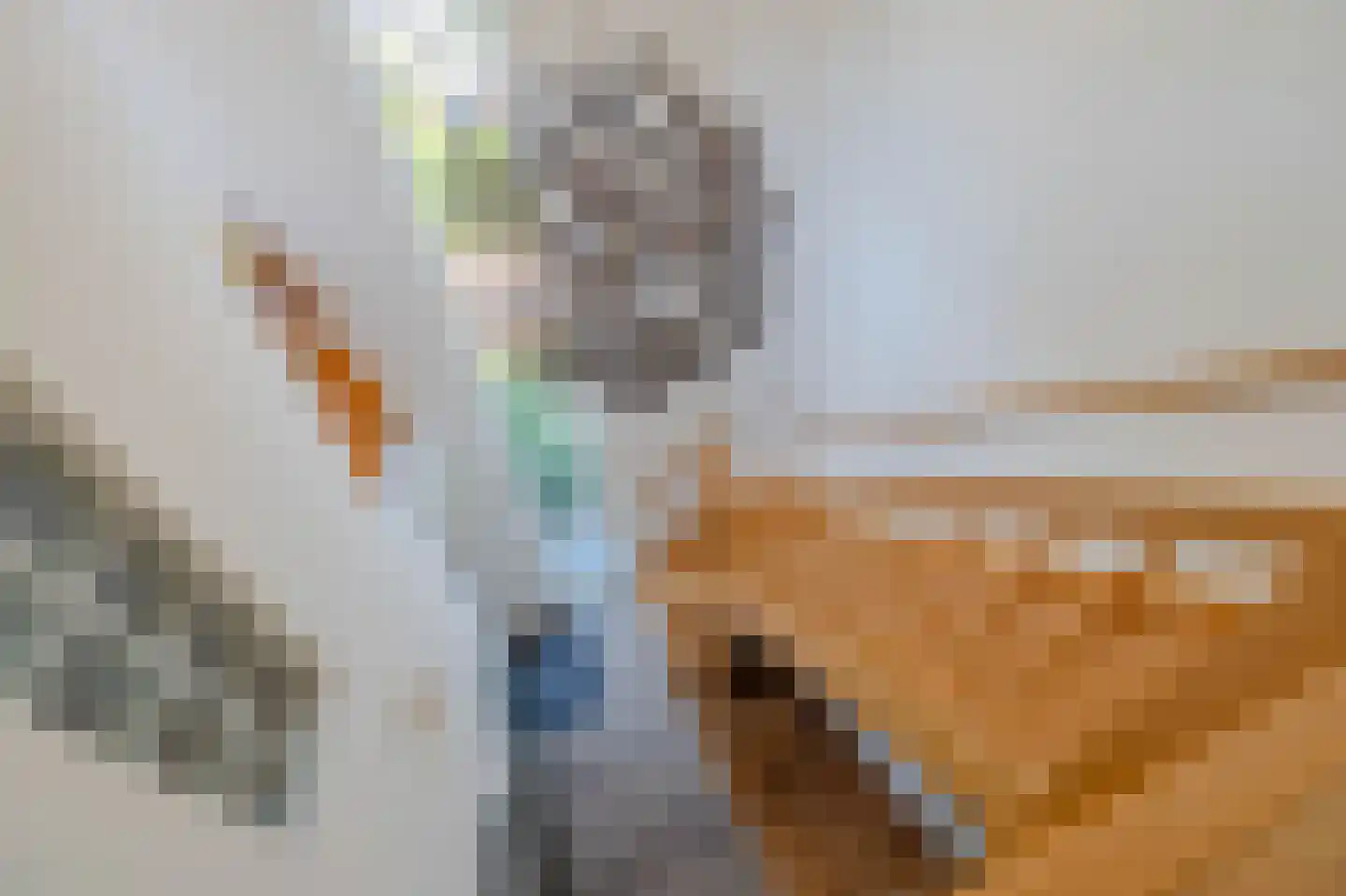 Boomvalk 49 Venray thumbnail 6