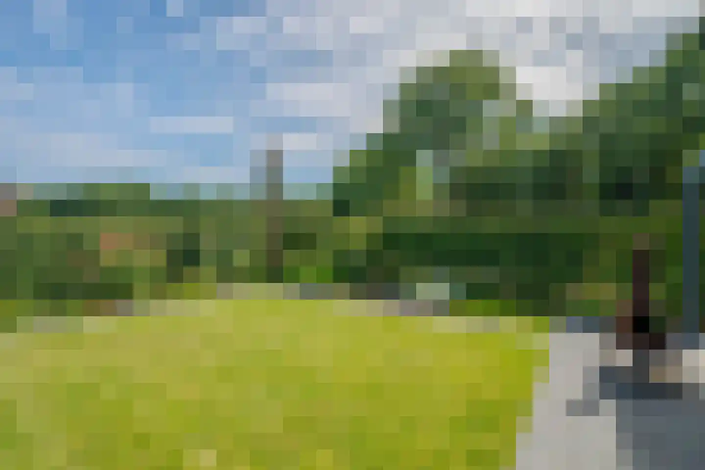 Boomvalk 49 Venray thumbnail 60