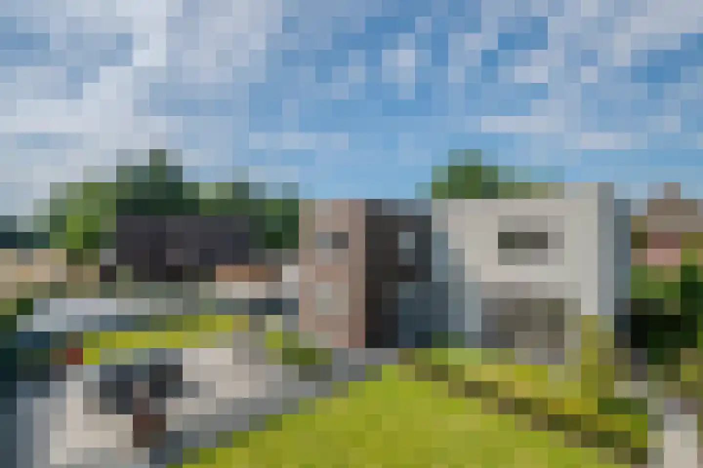Boomvalk 49 Venray thumbnail 62
