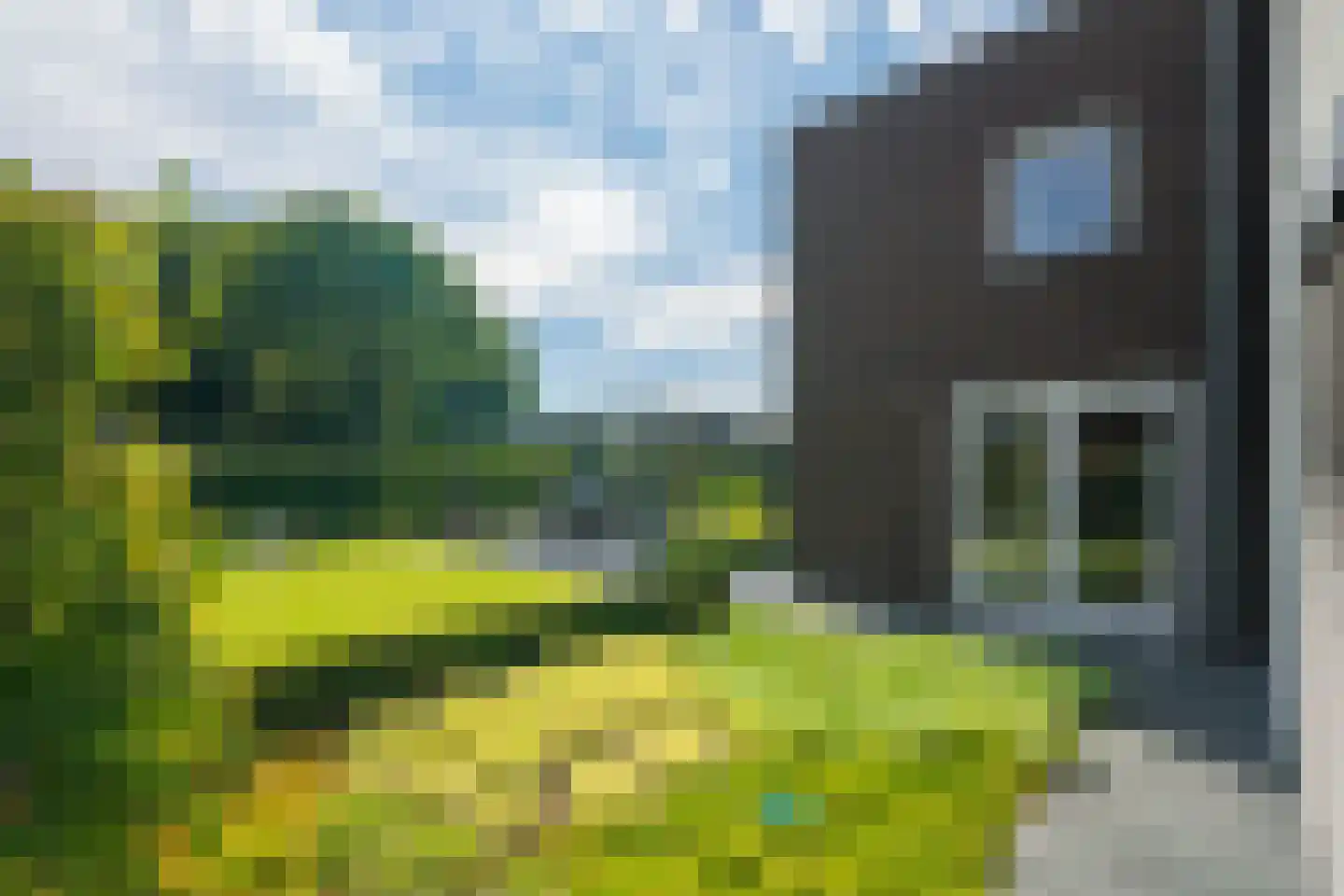 Boomvalk 49 Venray thumbnail 66