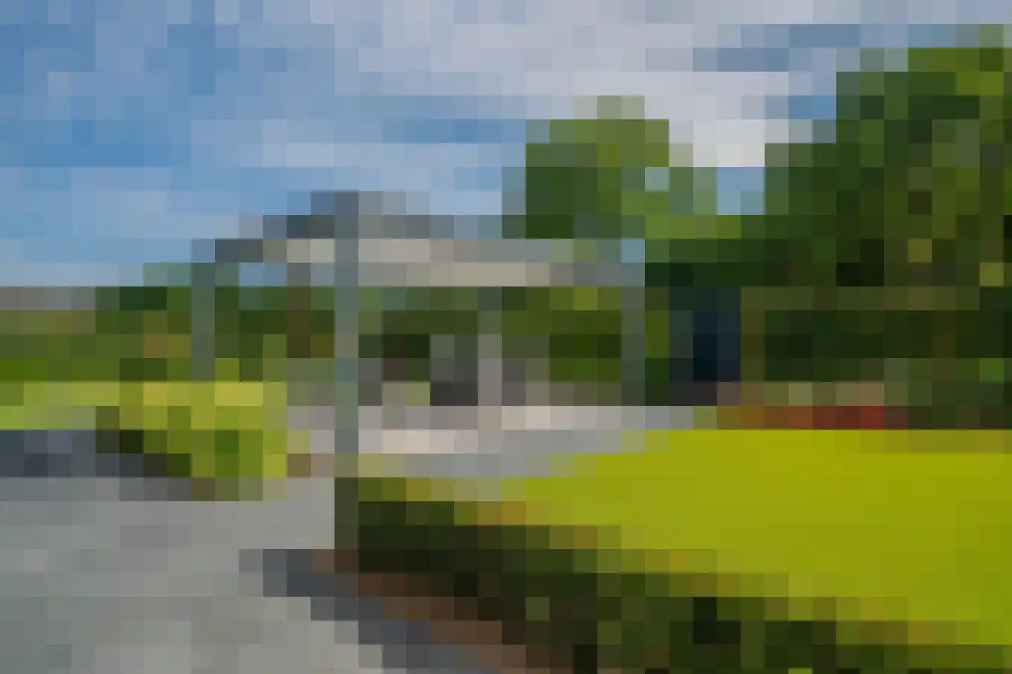 Boomvalk 49 Venray thumbnail 69