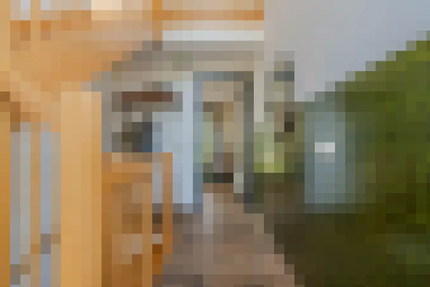 Boomvalk 49 Venray thumbnail 7