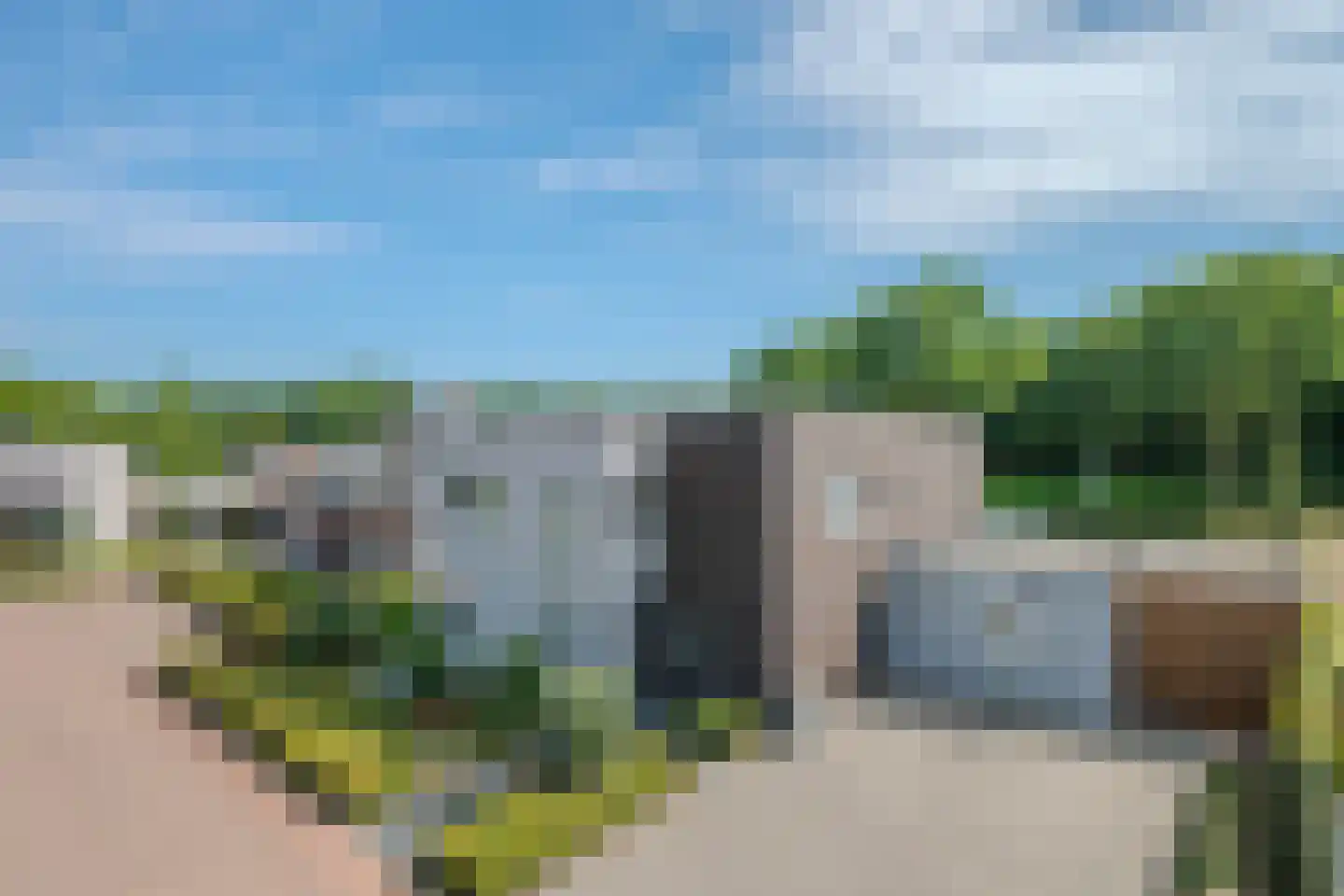 Boomvalk 49 Venray thumbnail 73