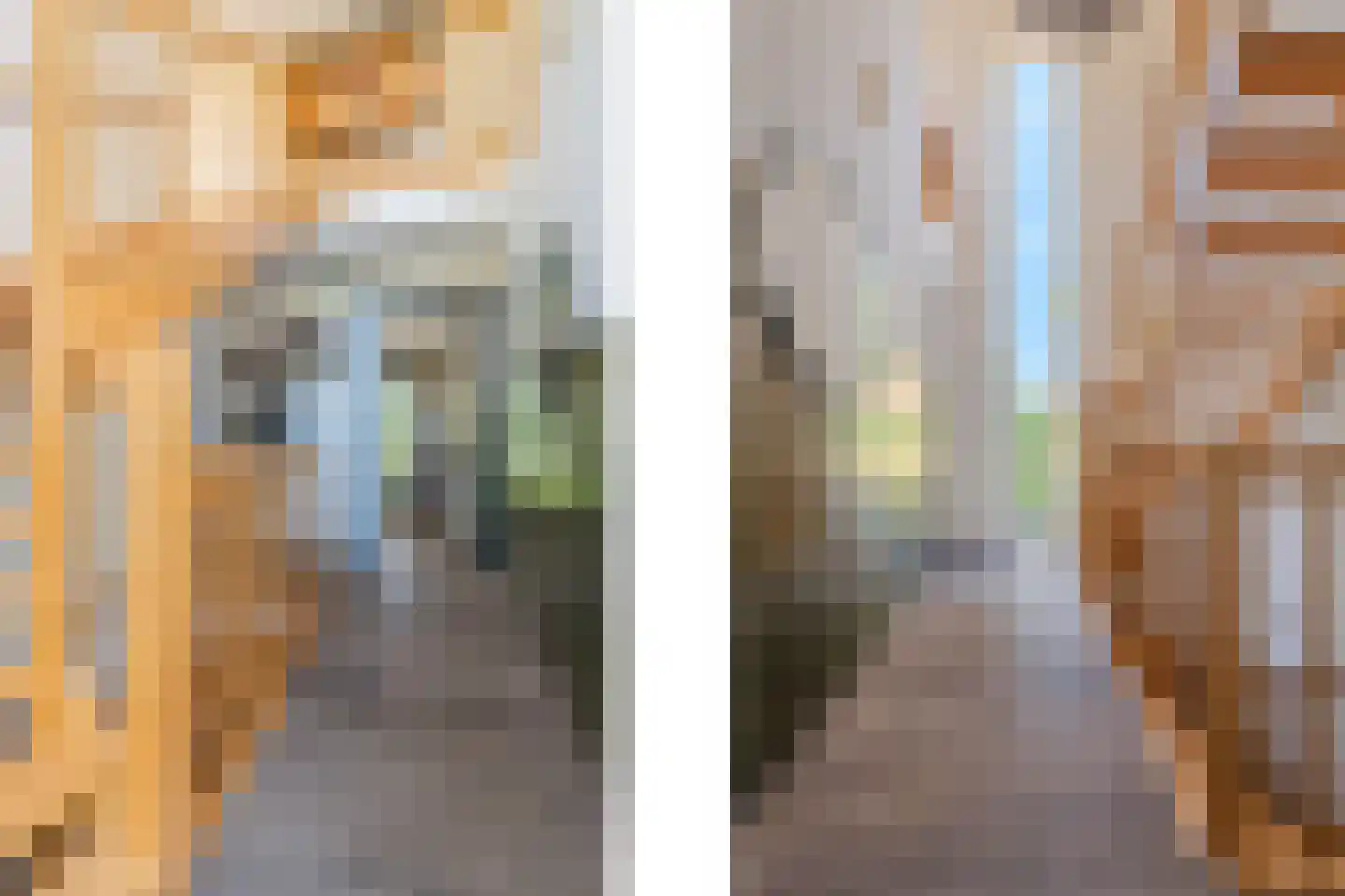 Boomvalk 49 Venray thumbnail 8
