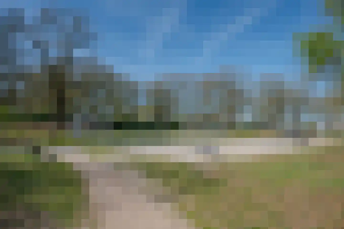 Boomvalk 49 Venray thumbnail 82