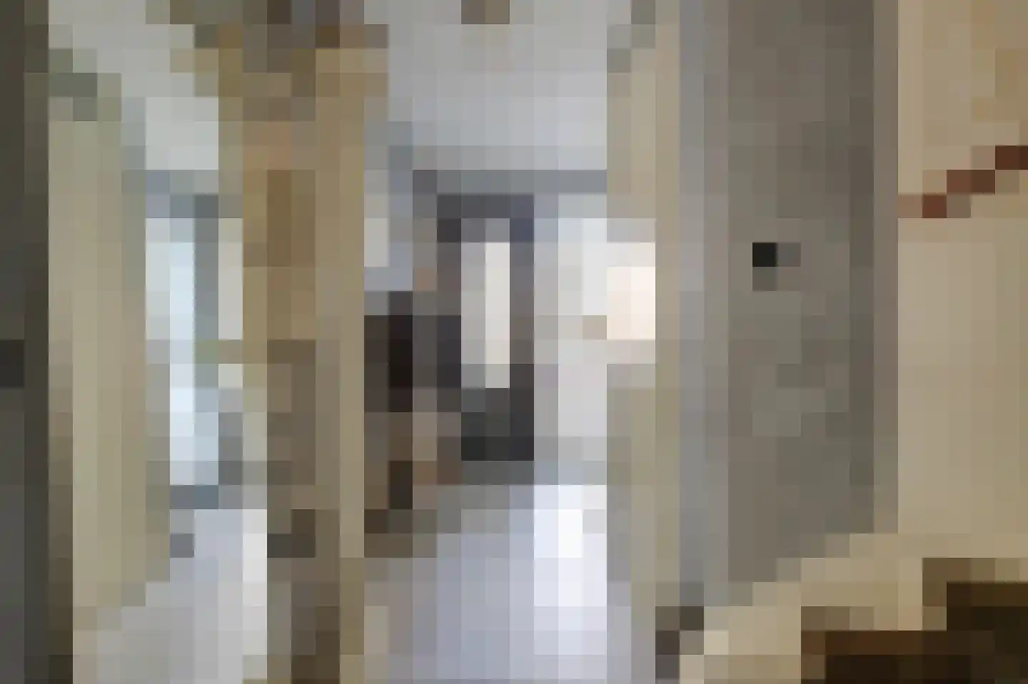 Boomvalk 5 Valkenburg thumbnail 12