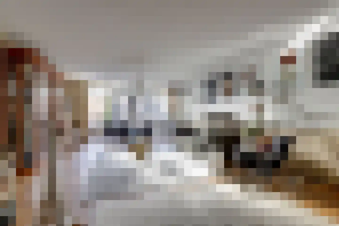 Boomvalk 5 Valkenburg thumbnail 15