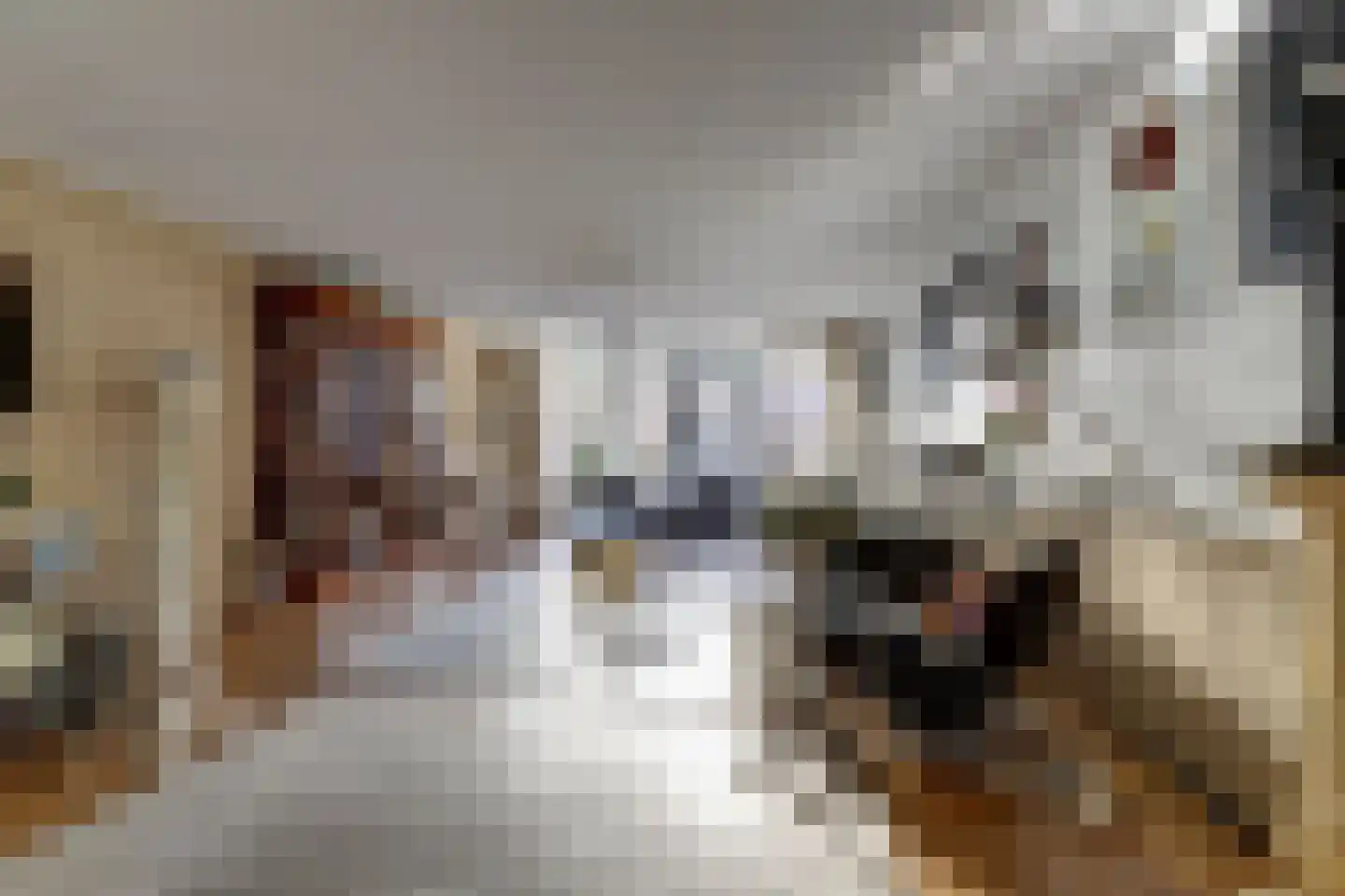 Boomvalk 5 Valkenburg thumbnail 16