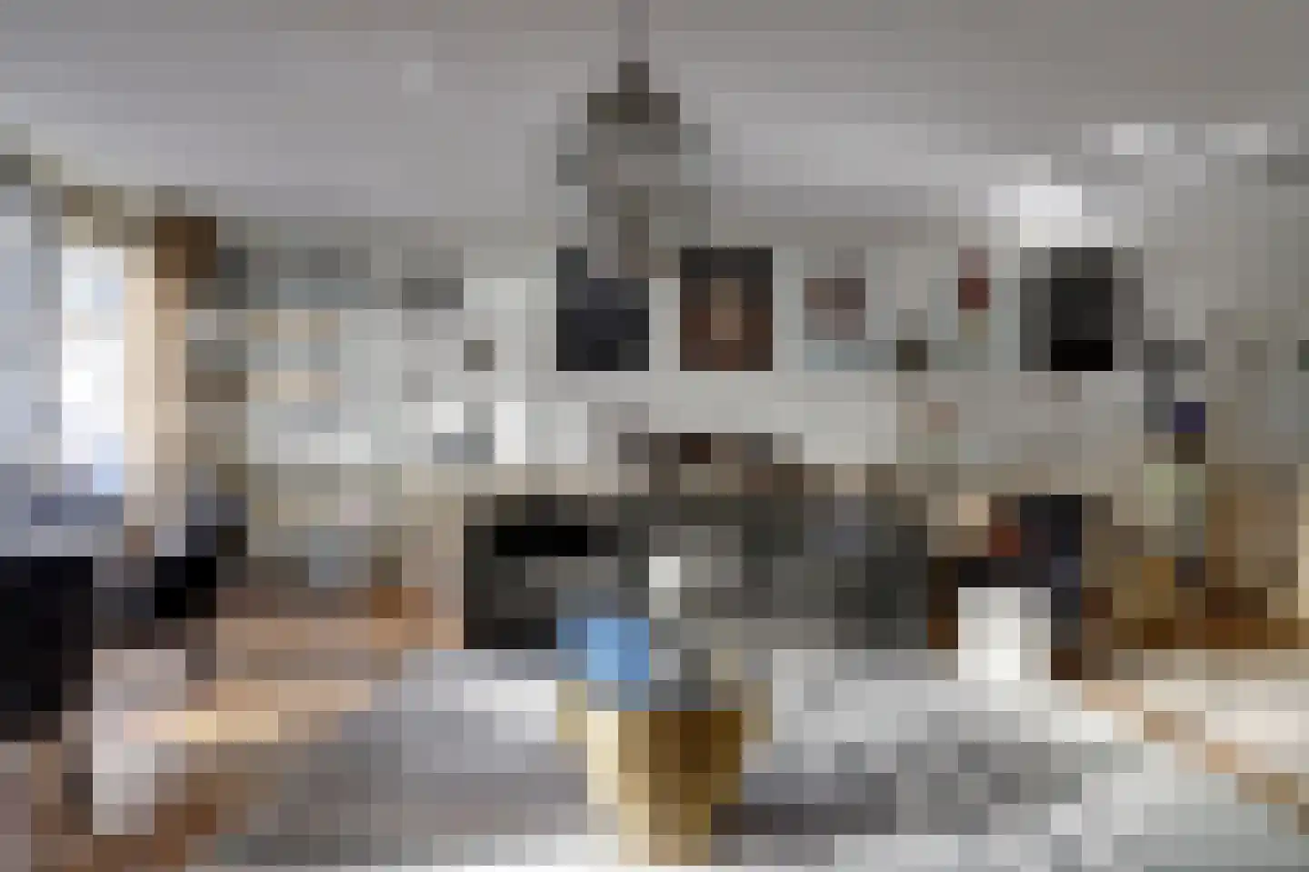 Boomvalk 5 Valkenburg thumbnail 17