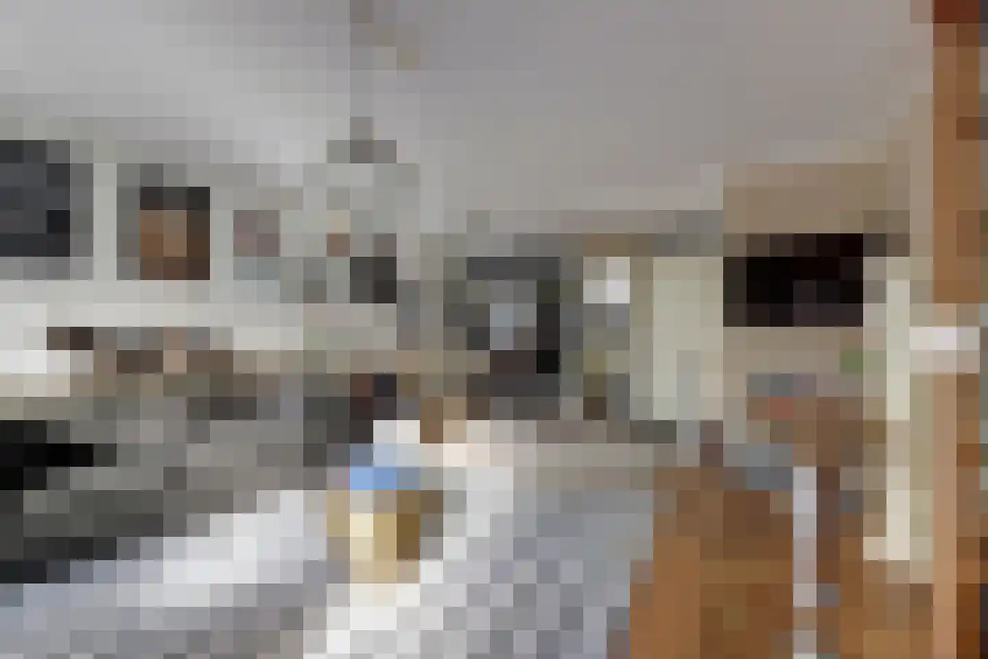 Boomvalk 5 Valkenburg thumbnail 18