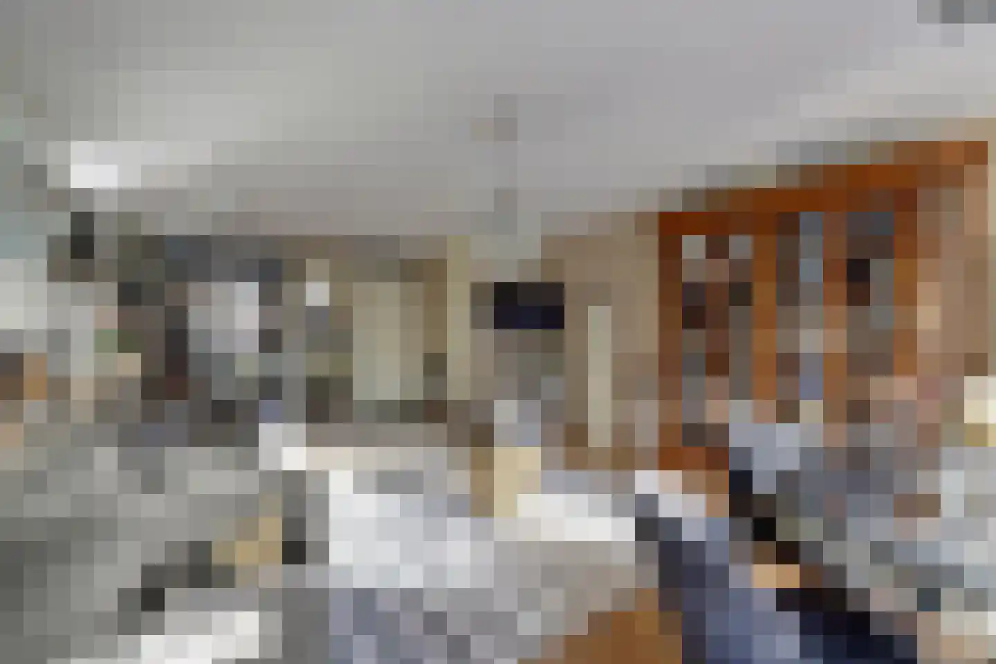 Boomvalk 5 Valkenburg thumbnail 19