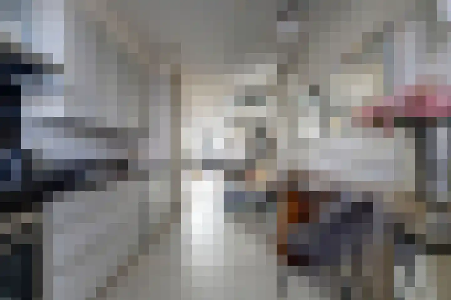 Boomvalk 5 Valkenburg thumbnail 22