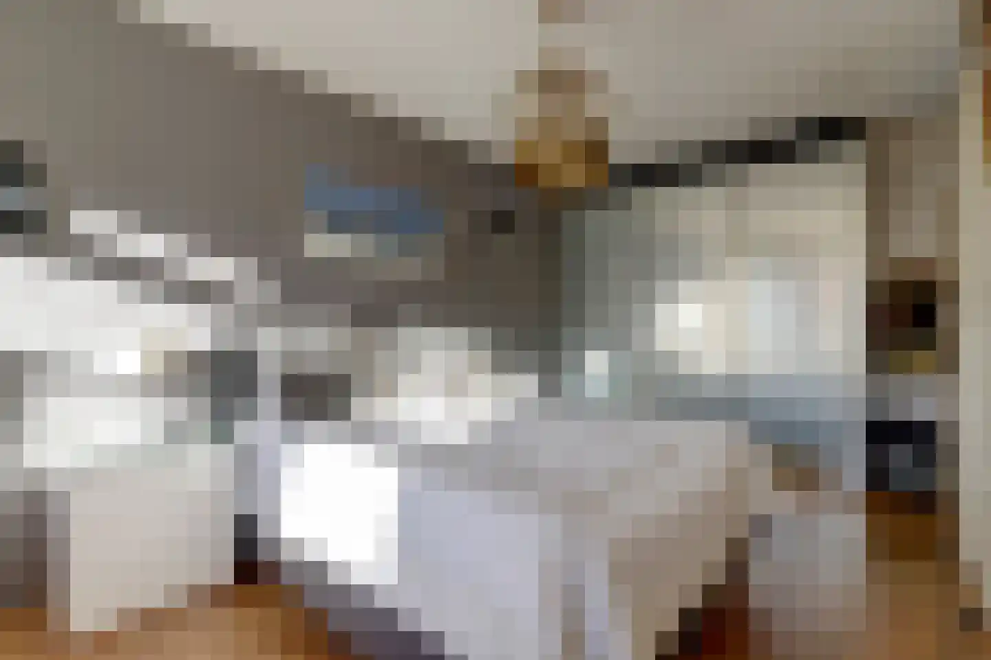 Boomvalk 5 Valkenburg thumbnail 26