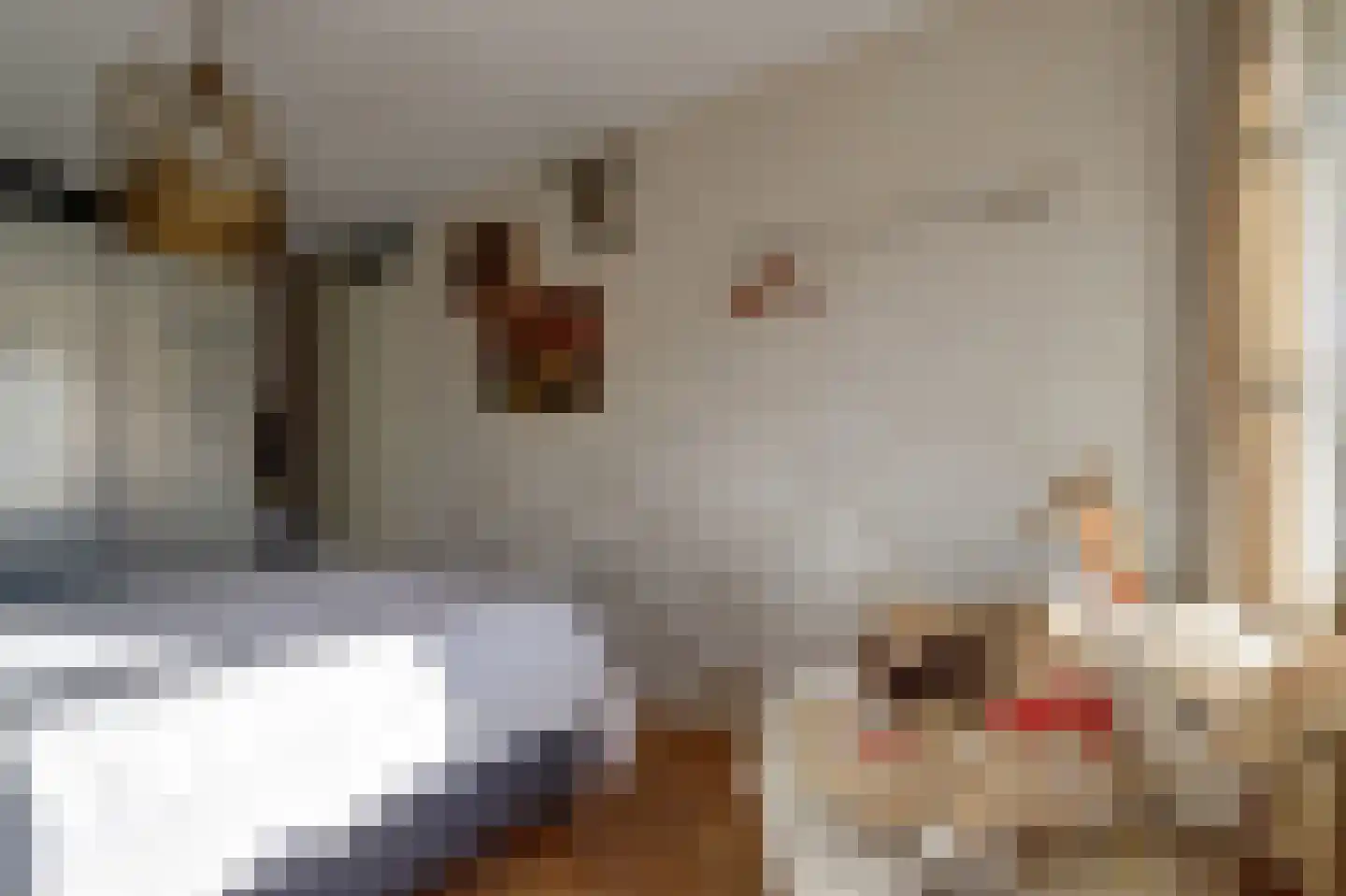 Boomvalk 5 Valkenburg thumbnail 27