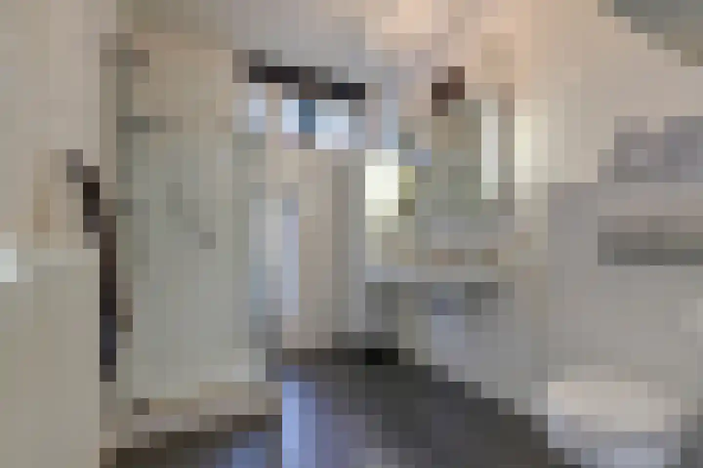 Boomvalk 5 Valkenburg thumbnail 32
