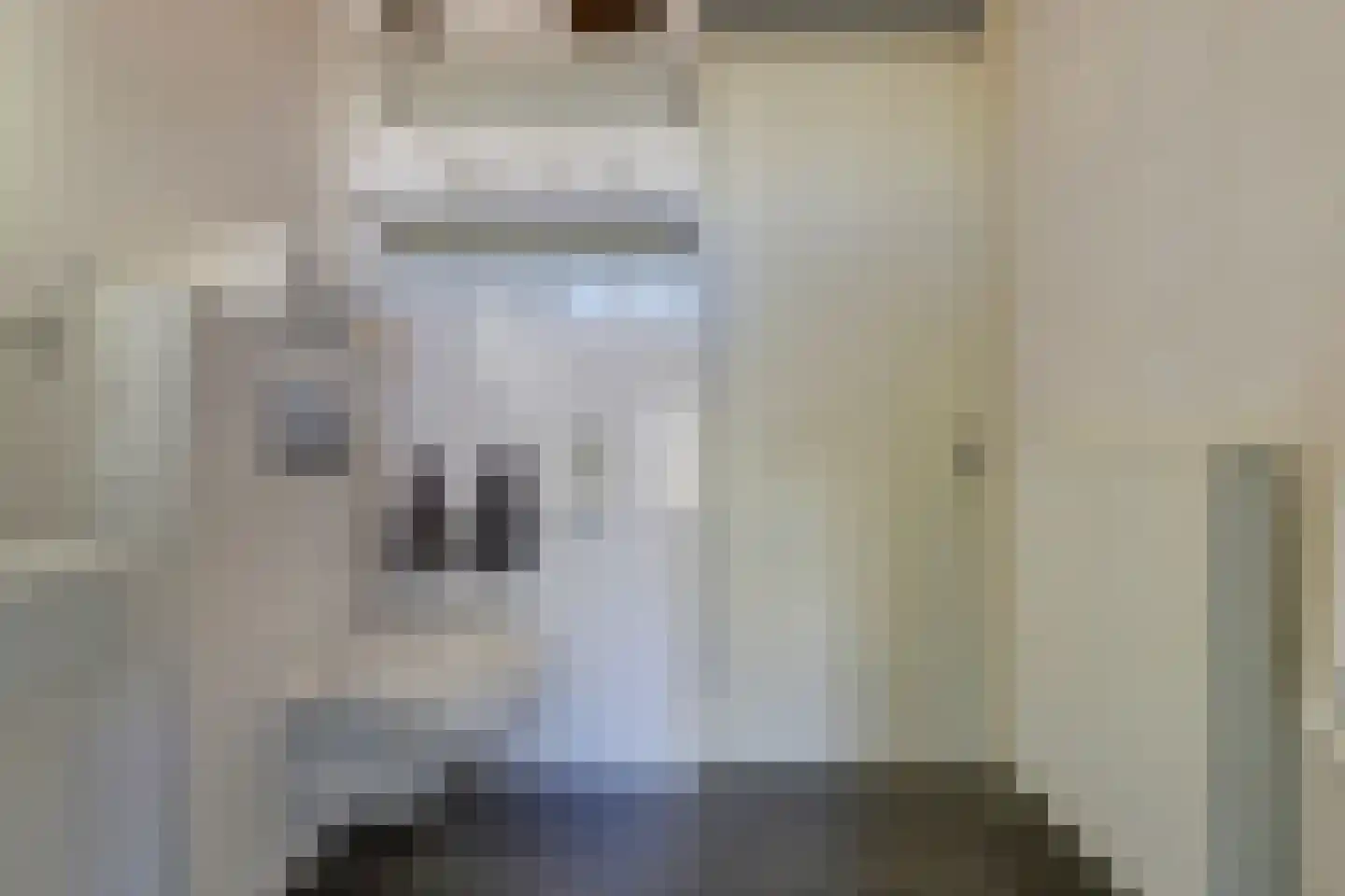 Boomvalk 5 Valkenburg thumbnail 34