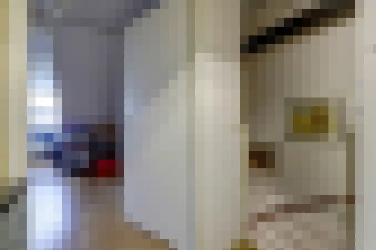 Boomvalk 5 Valkenburg thumbnail 36