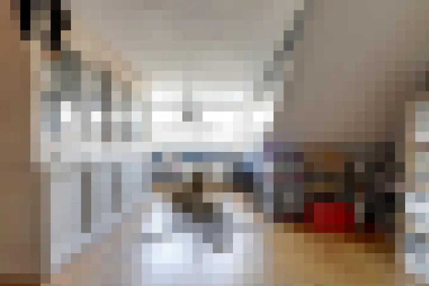 Boomvalk 5 Valkenburg thumbnail 38