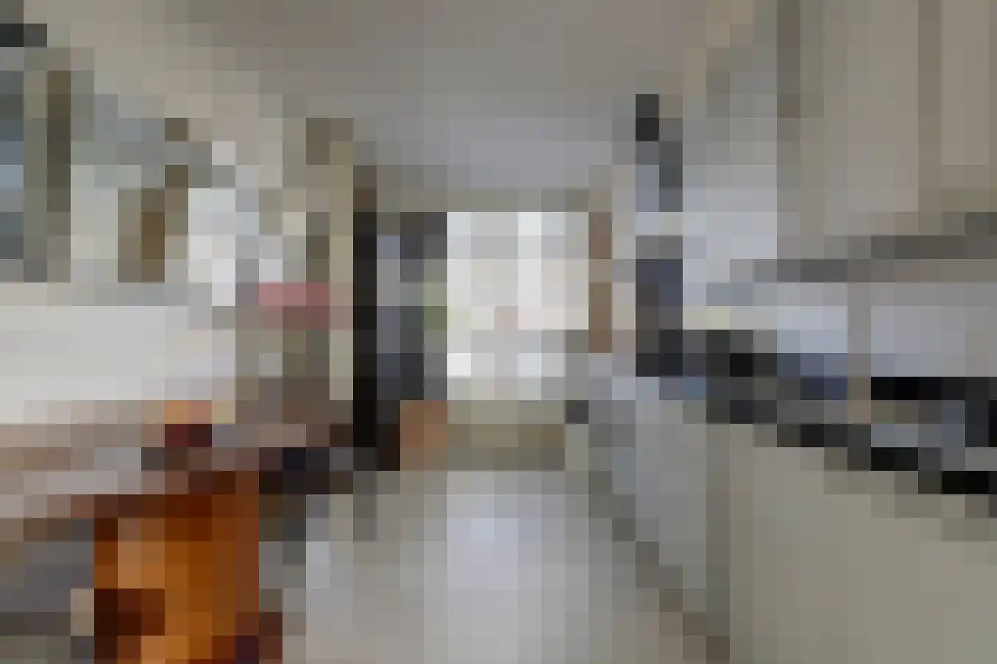 Boomvalk 5 Valkenburg thumbnail 4