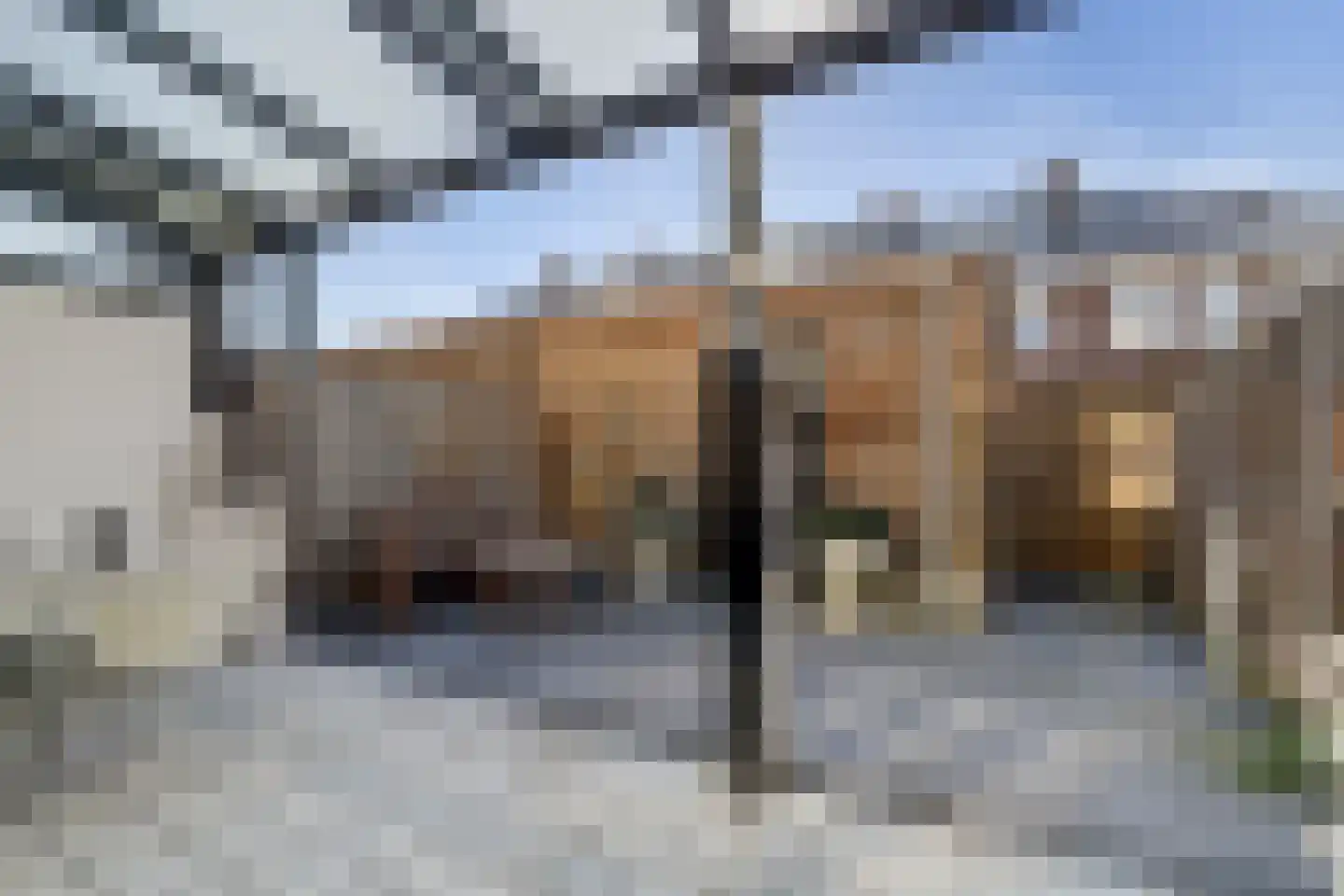 Boomvalk 5 Valkenburg thumbnail 40