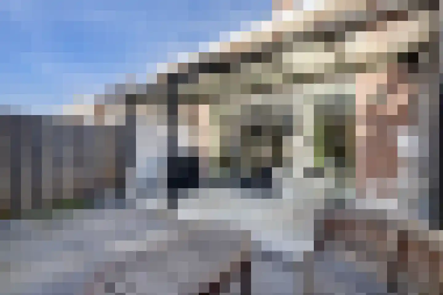 Boomvalk 5 Valkenburg thumbnail 42